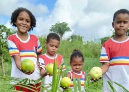 Pequenos agricultores em ação: aprendendo com a terra e tradição.